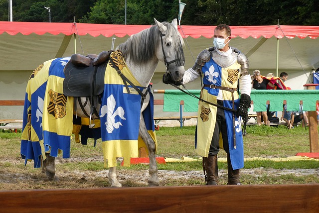 均属轻微 均属轻微