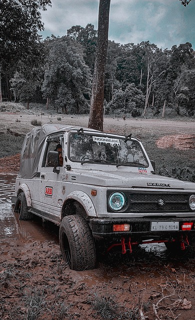 合理提高支 合理提高支