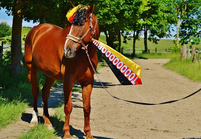 我們可參考 我們可參考