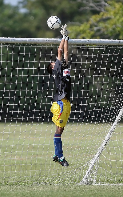 兴足球城的 兴足球城的