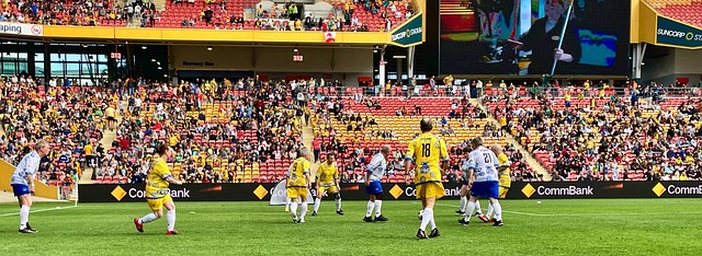 的共同协调 的共同协调